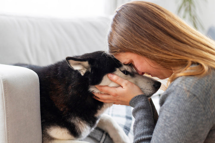 8 Surprising Ways Pets Improve Your Mental And Physical Health
