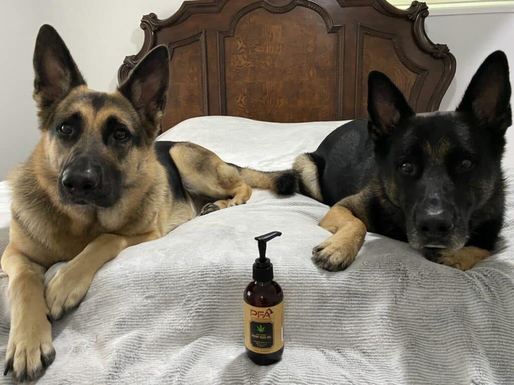 Hemp Seed Oil (Bundle)