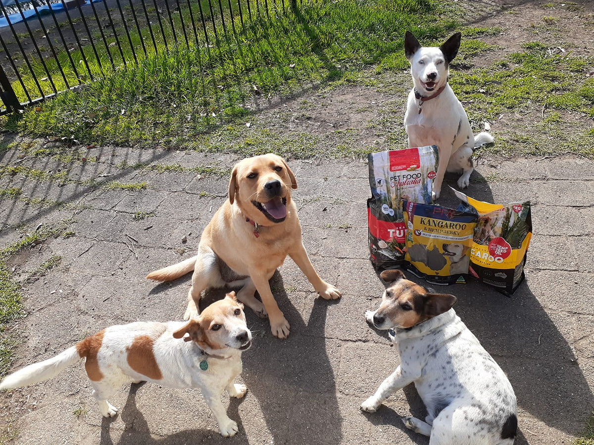 Best Grain-Free Dog Food in Australia: What Actually Makes One Better Than Another