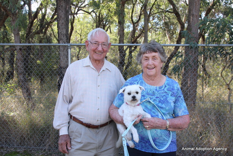 What 27 Years of Rescuing Dogs Taught Us About Health