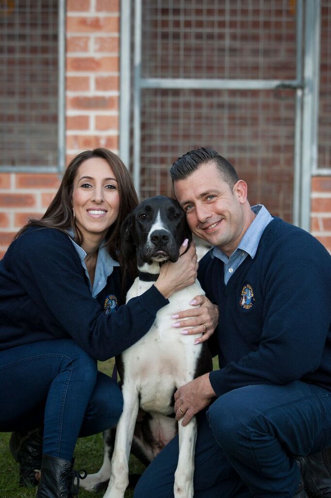 Why We Started Pet Food Australia