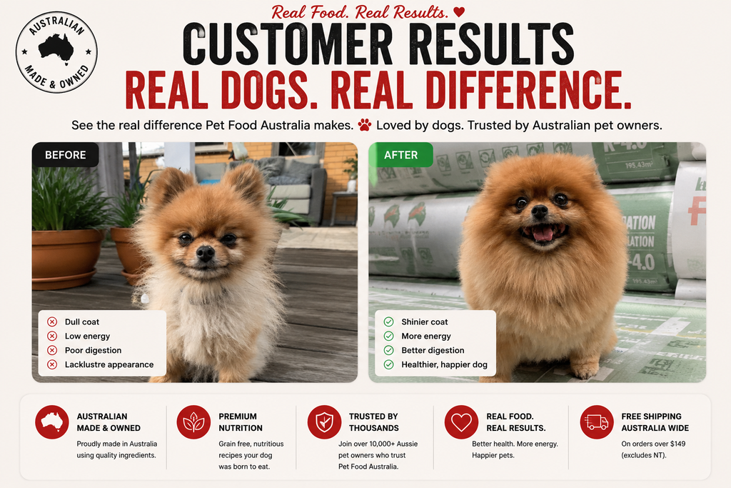 Why Some Dogs Seem to Thrive After Changing Food