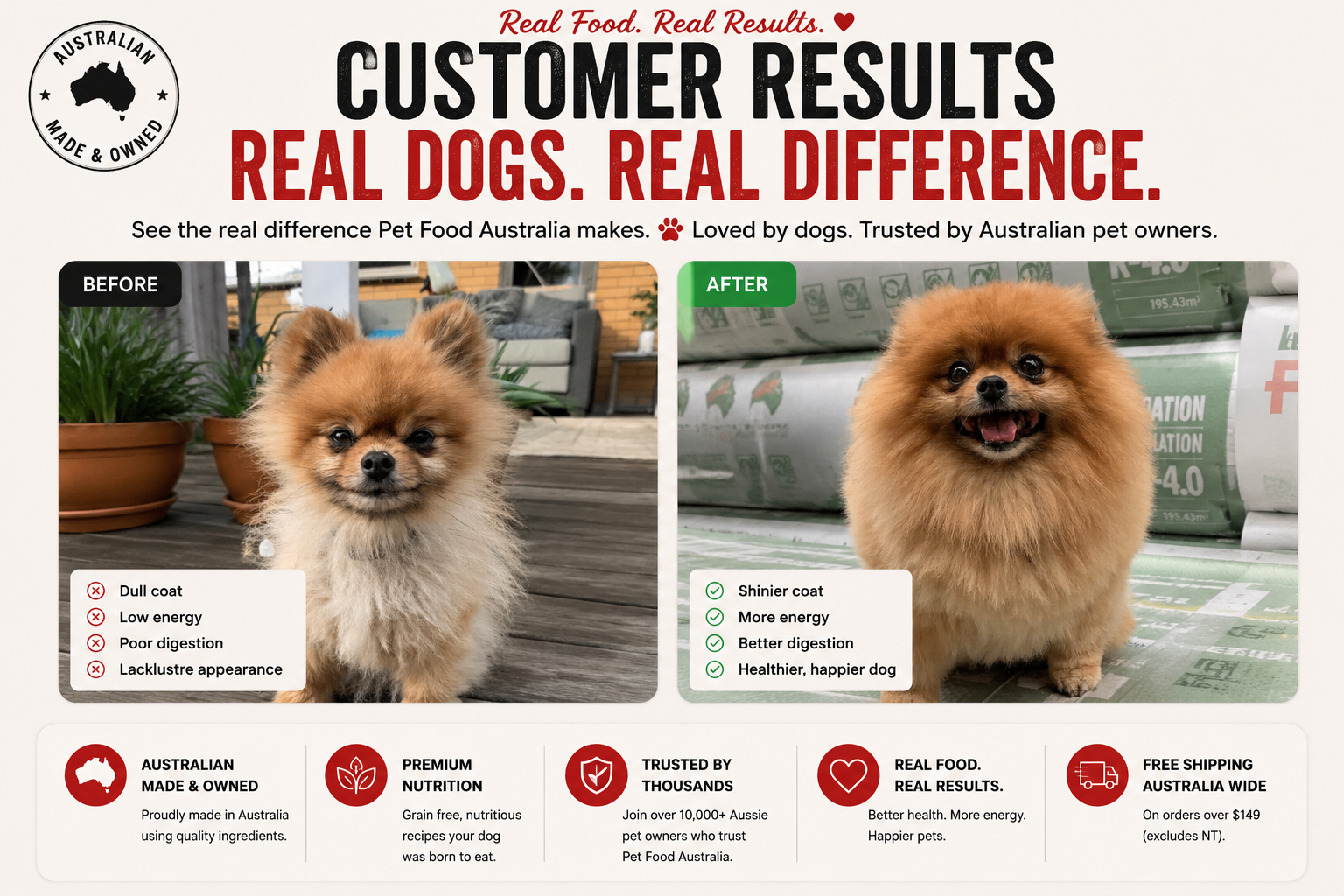 Why Some Dogs Seem to Thrive After Changing Food