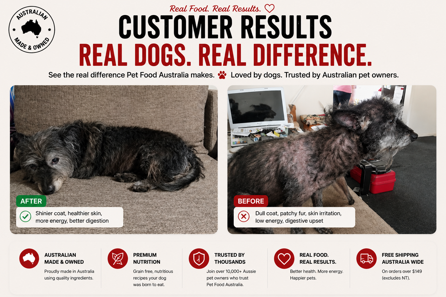 Dry Skin in Dogs | Causes, Symptoms & Nutrition Guide for Australian Dog Owners