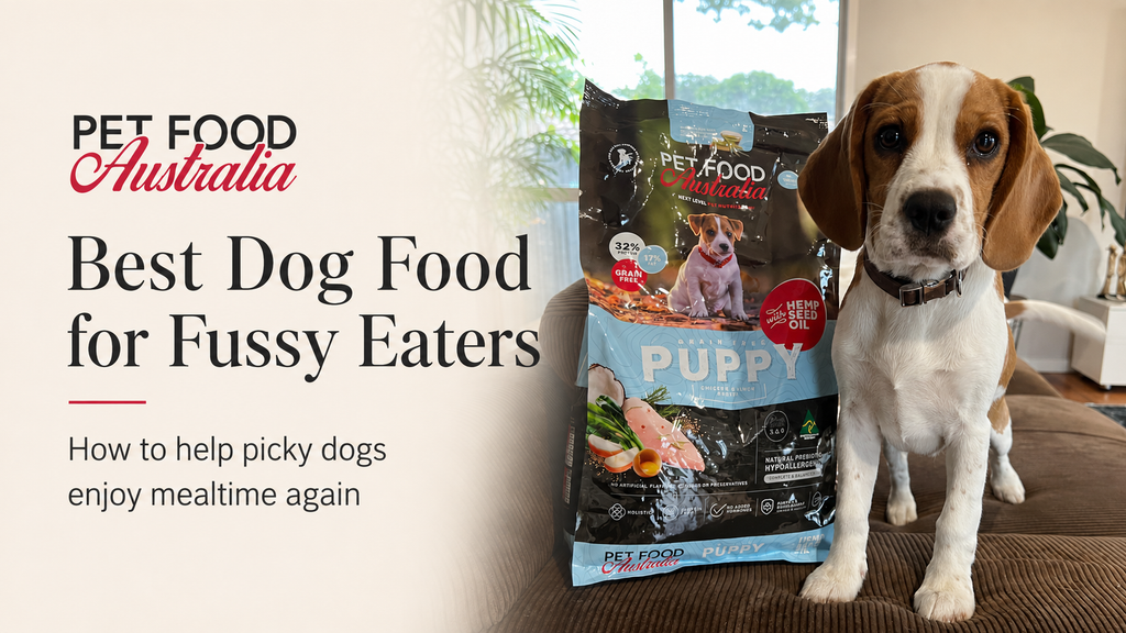 Best Dog Food for Fussy Eaters