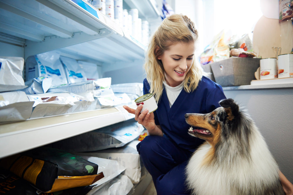The Shift in Pet Health Experts Are Finally Talking About
