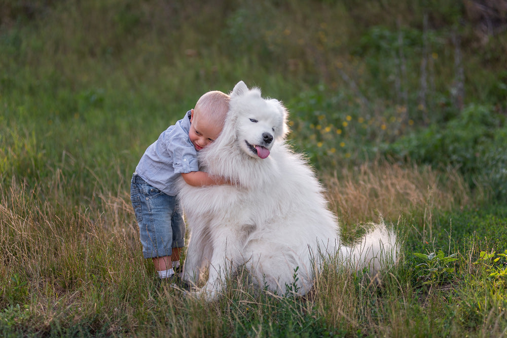 We Treat Pets Like Family — So Why Feed Them Differently?