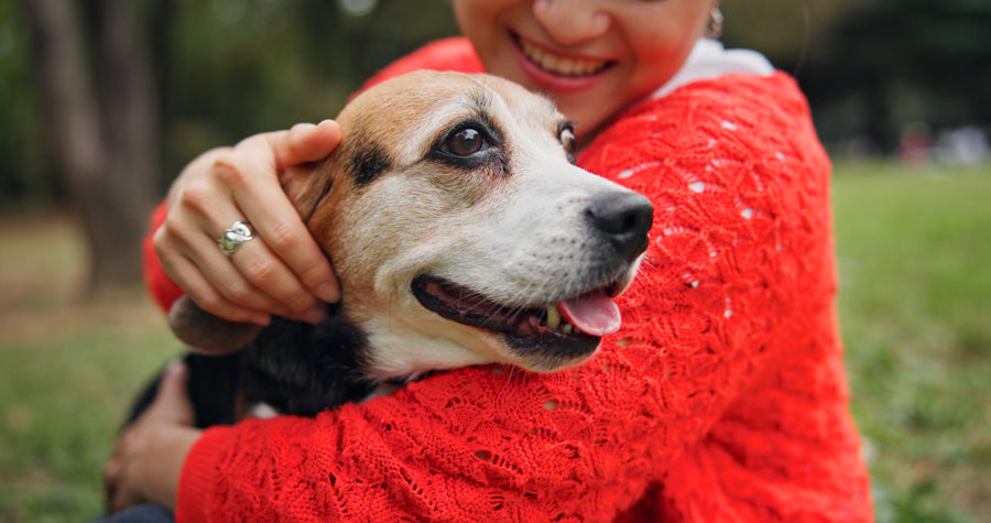 Customer Reviews: How Our Food Helped Pets With Allergies
