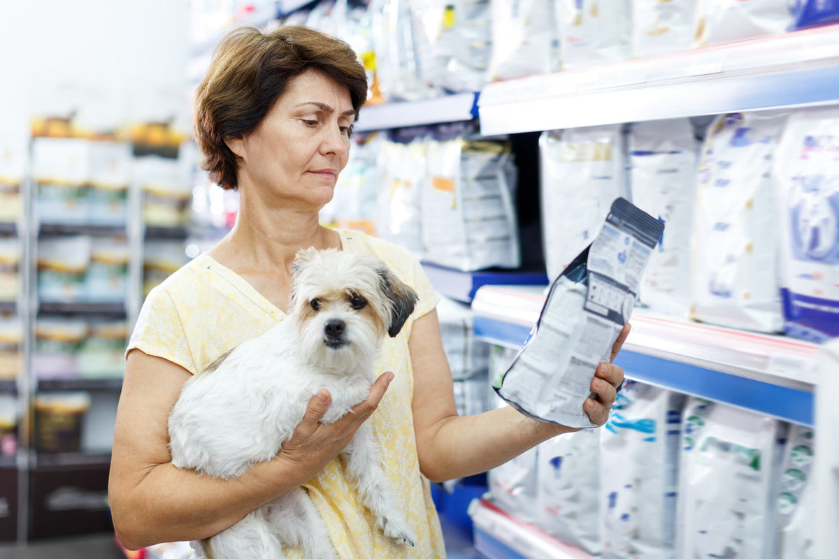 The Top 3 Reasons Dogs Go to the Vet Hasn’t Changed in 5 Years