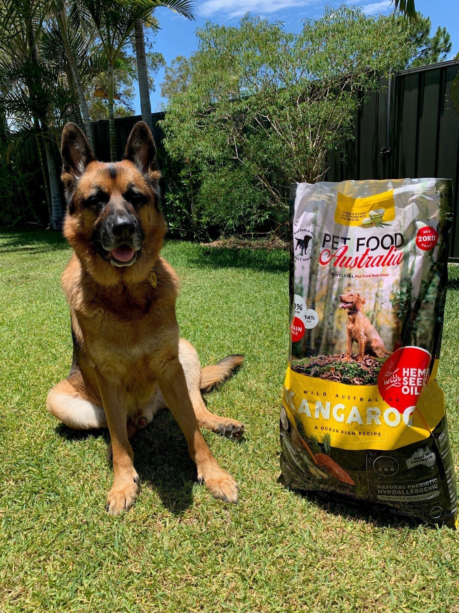Best Food for German Shepherds