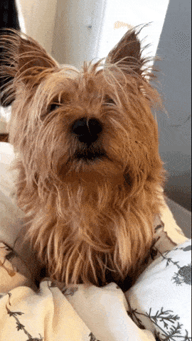 13 Things You Might Not Realise You're Doing Wrong