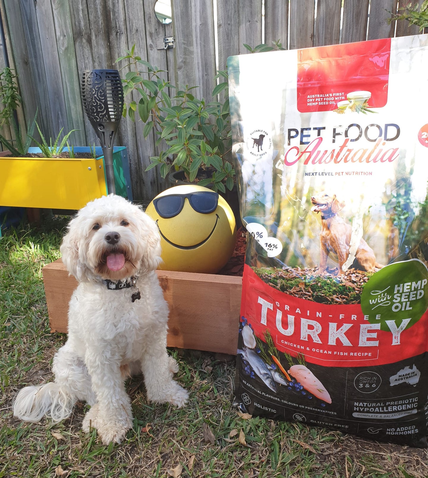 Turkey Dog Food