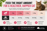 Cat Dry Food