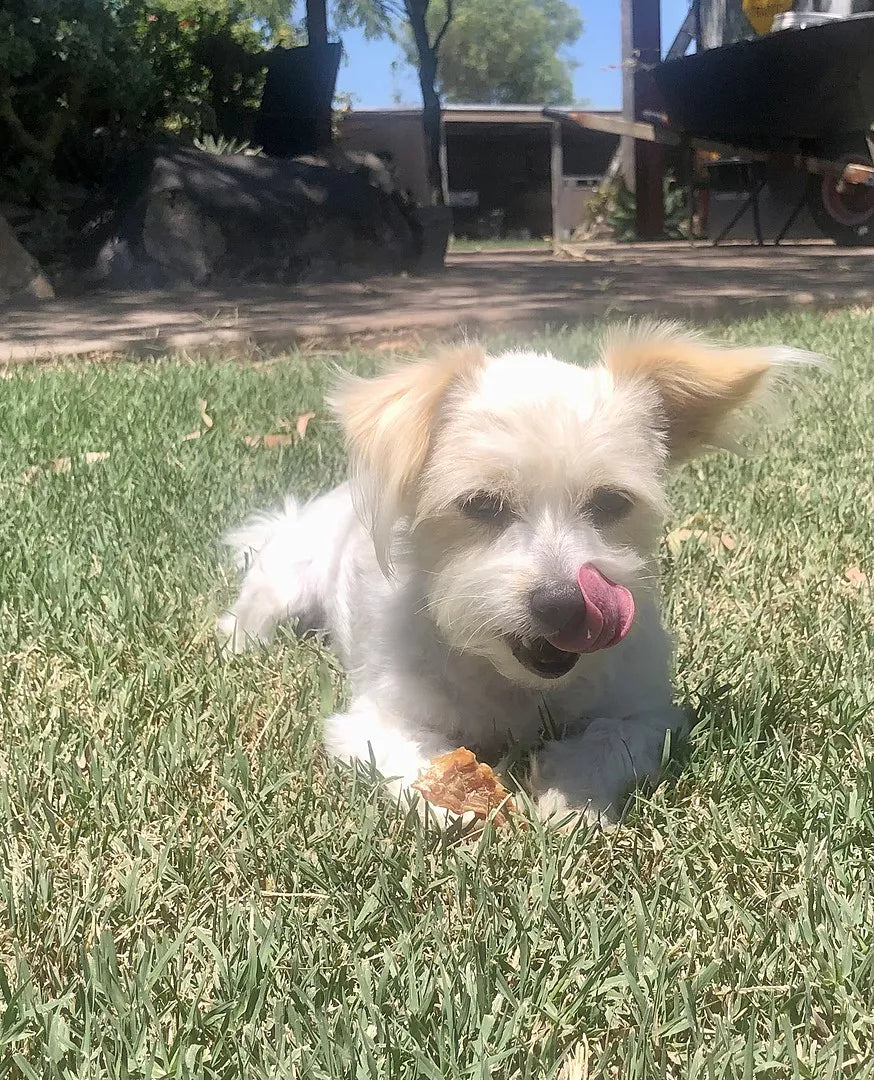 Chicken Jerky Treats 500g
