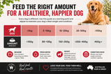 Dog food quantity guide for different weight ranges
