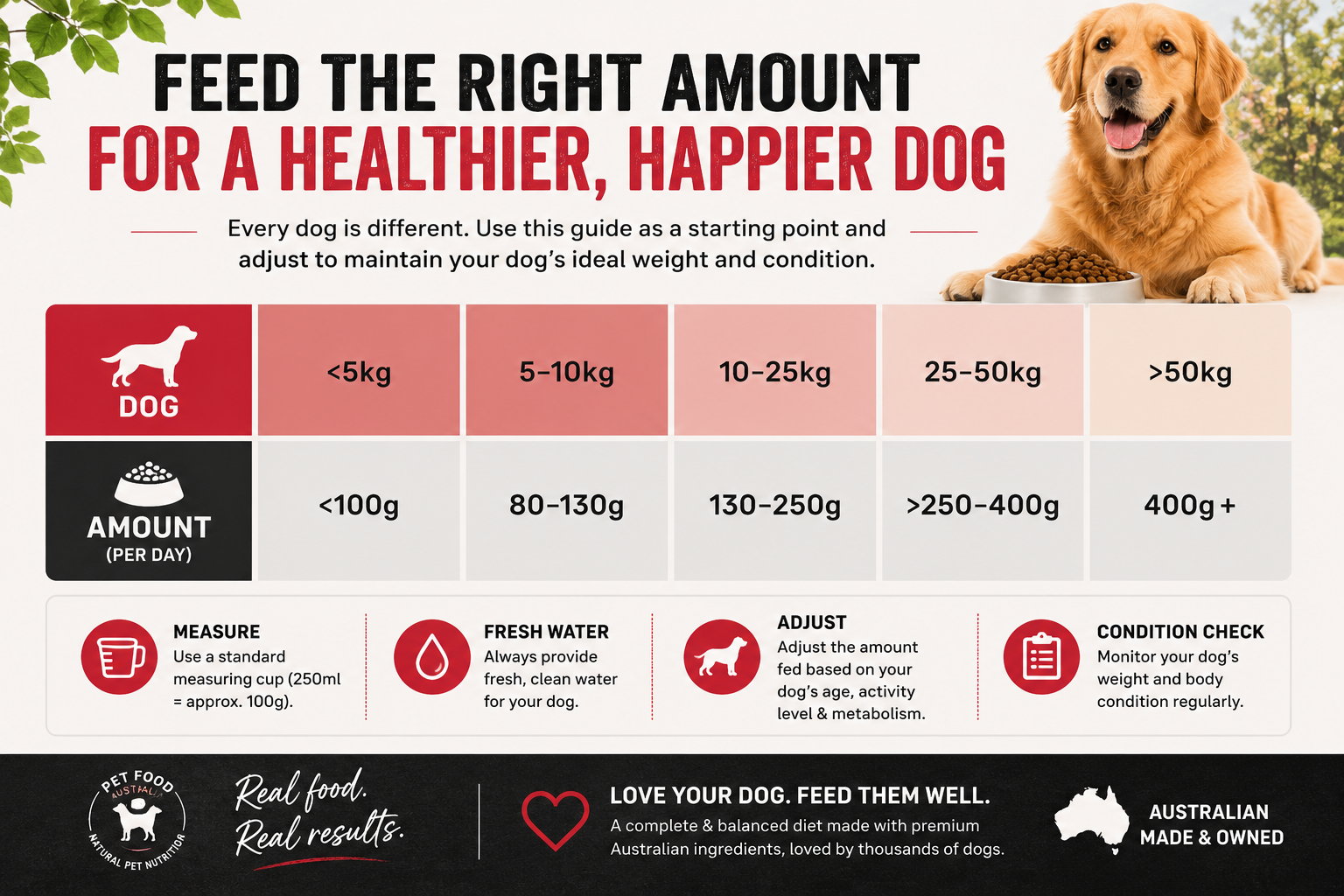 Dog food quantity guide for different weight ranges