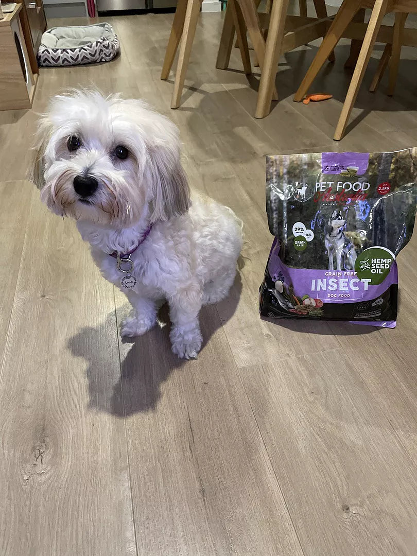 Pet Food Insect Insect Protein Dog Food