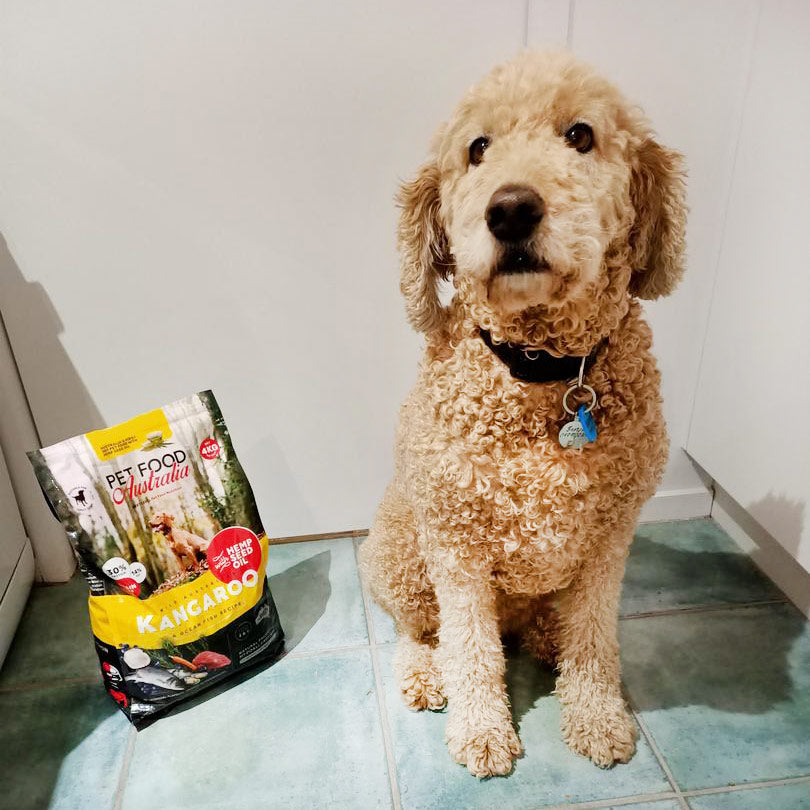 Kangaroo & Ocean Fish Dry Food