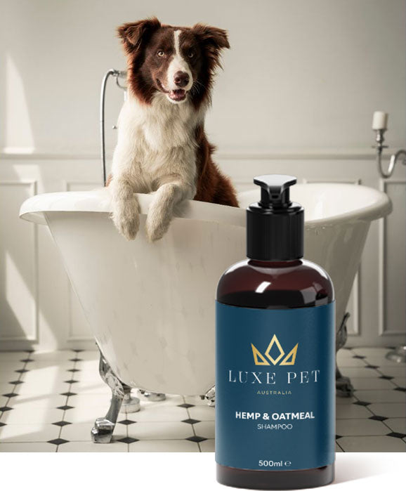 Command dog shampoo shop