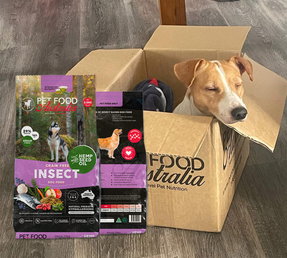 Pet Food Insect Insect Protein Dog Food