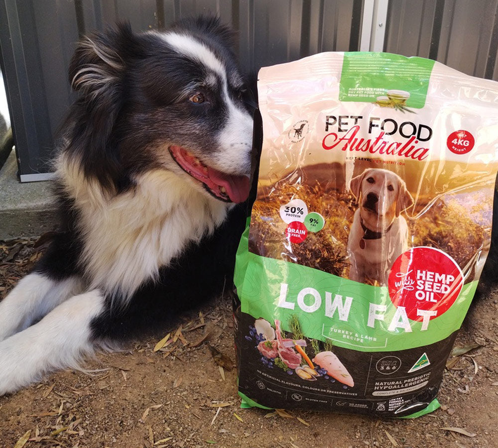 Illustration of Australian Made Dog Food With Antioxidants And Probiotics
