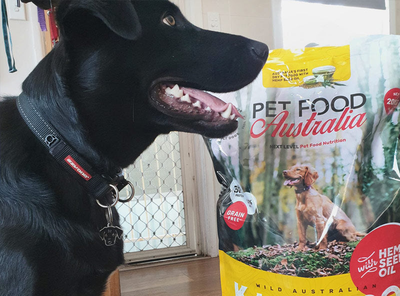 Kangaroo & Ocean Fish Dry Food (Bundle)