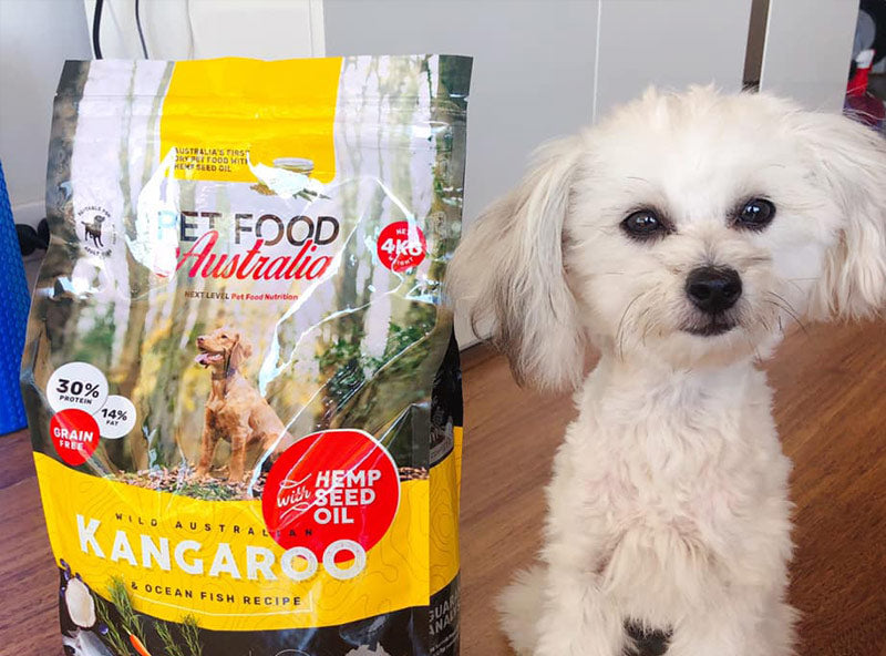 Kangaroo & Ocean Fish Dry Food (Bundle)