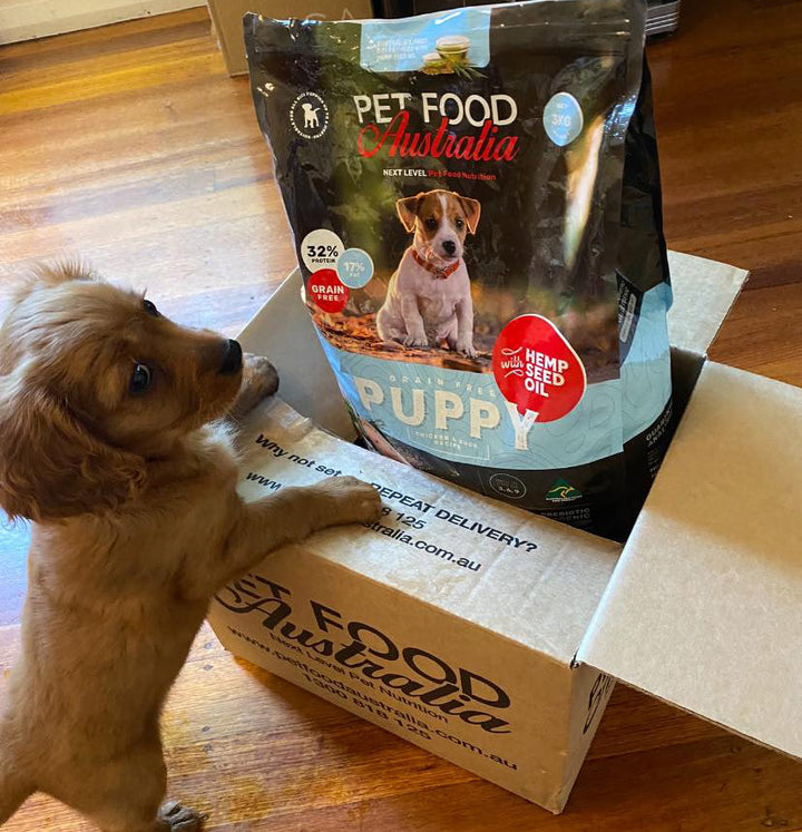 Dog Food | Australian Made Premium Dog Food - Shop Now!