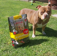 Kangaroo & Ocean Fish Dry Food