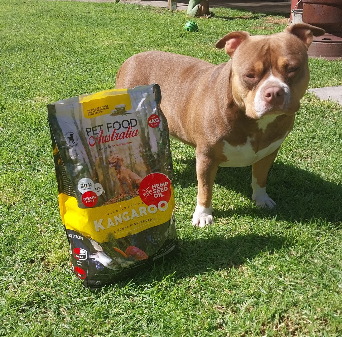 Kangaroo & Ocean Fish Dry Food
