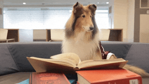 Dog Reading