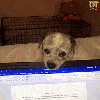 Dog taking a MEGABYTE out of computer