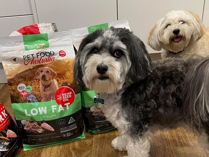 Dogs with Low-Fat Formula