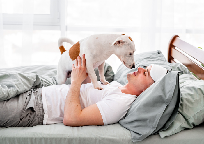 Man playing with dog in the bed in the morning time. Young guy wakes up and doggy pet standing on him and licks his face. Concept of friendship beetween human and animal