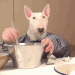 Dog helping to make a cake