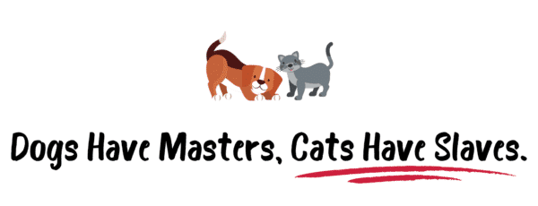 Dogs-have-masters-Cats-have-slaves.-600x230