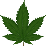 cannabis-306291_640-150x150